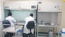 في مختبر مصلحة األبحاث العلمية الزراعية (العربي الجديد)