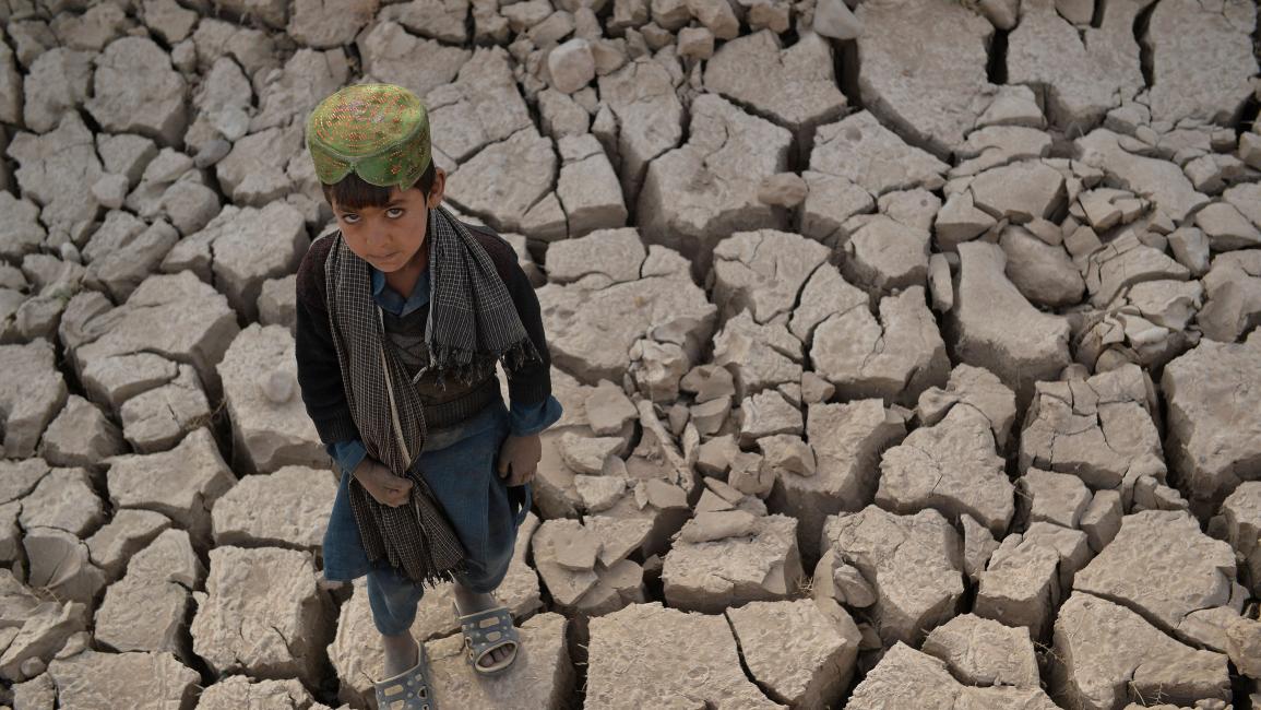 وسط الجفاف في أفغانستان (هوشانغ هاشمي/ فرانس برس)