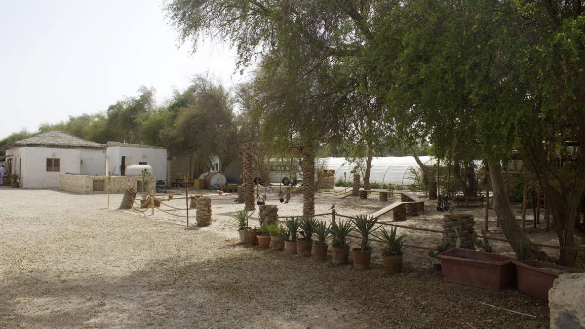 "حينة سالمة".. مزرعة تتحول إلى مقصد سياحي في الدوحة
