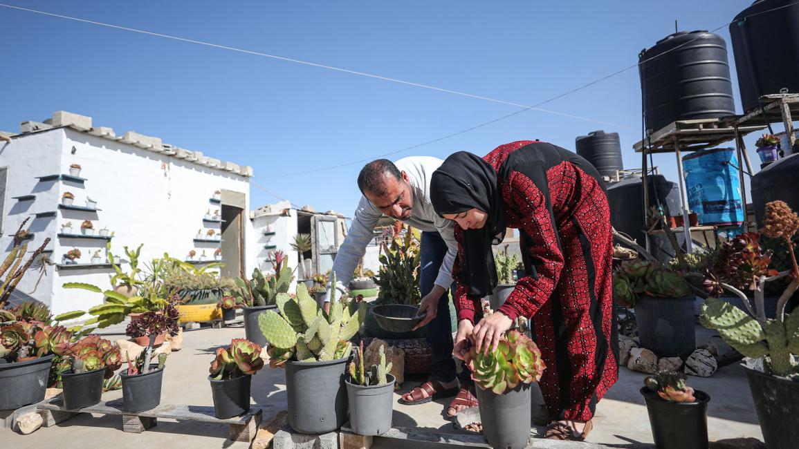 زوجان فلسطينيان يصنعان من الألوفيرا مستحضرات للجمال في غزة