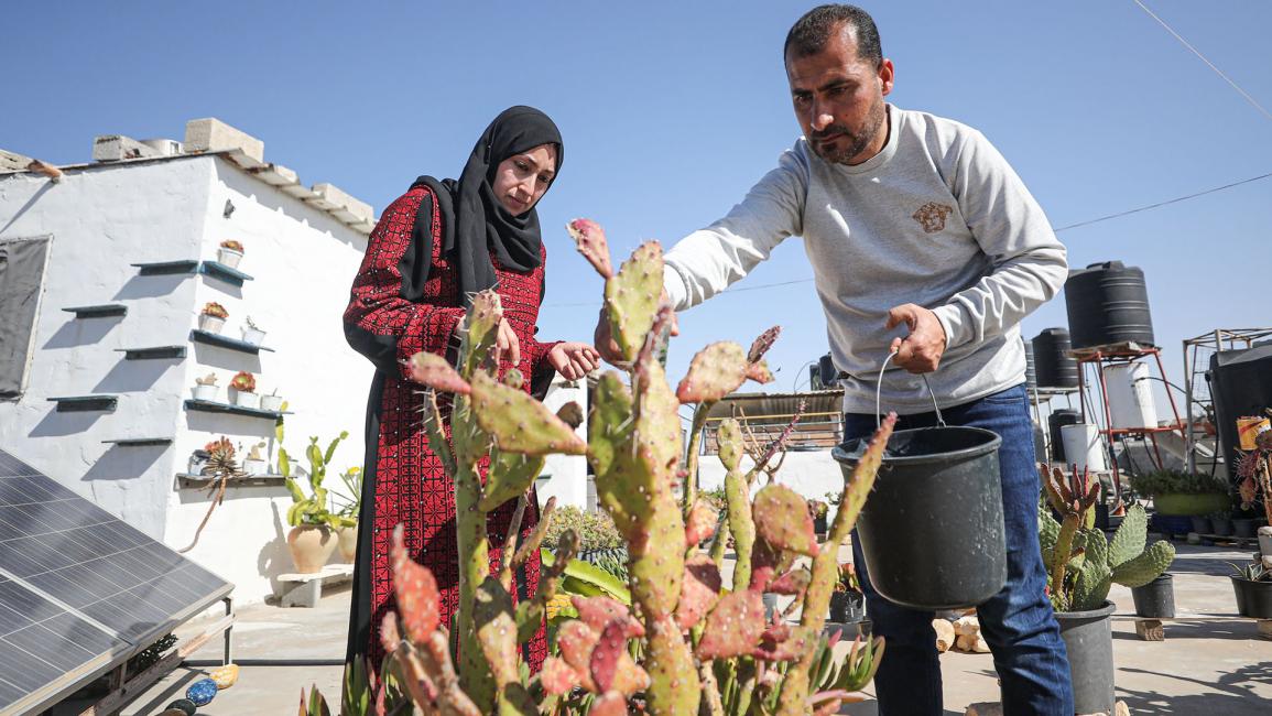 زوجان فلسطينيان يصنعان من الألوفيرا مستحضرات للجمال في غزة