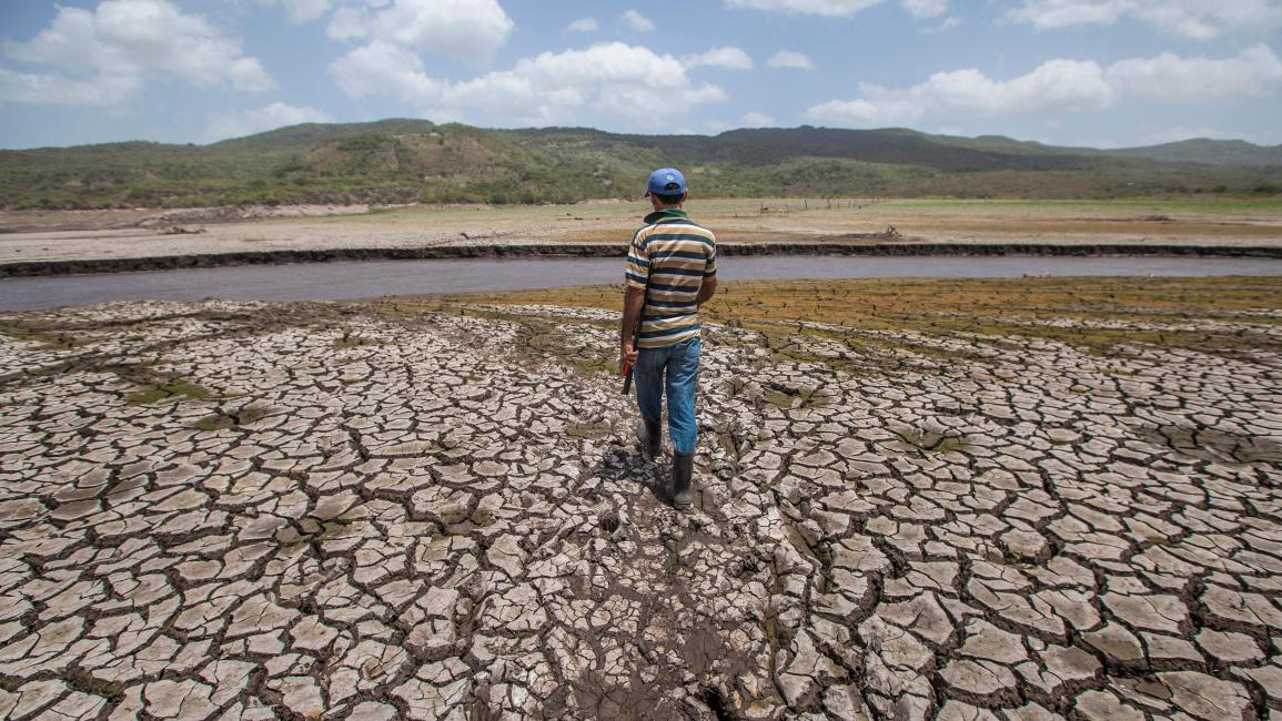 الجفاف يهدد الأرواح في نيكاراغوا (ديانا أولوا/فرانس برس)