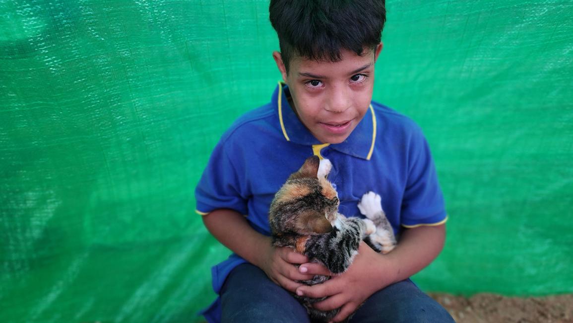 طفل يداعب قطة في خيام تقع بالقرب من مستشفى شهداء الأقصى (أشرف عمرة/ Getty)
