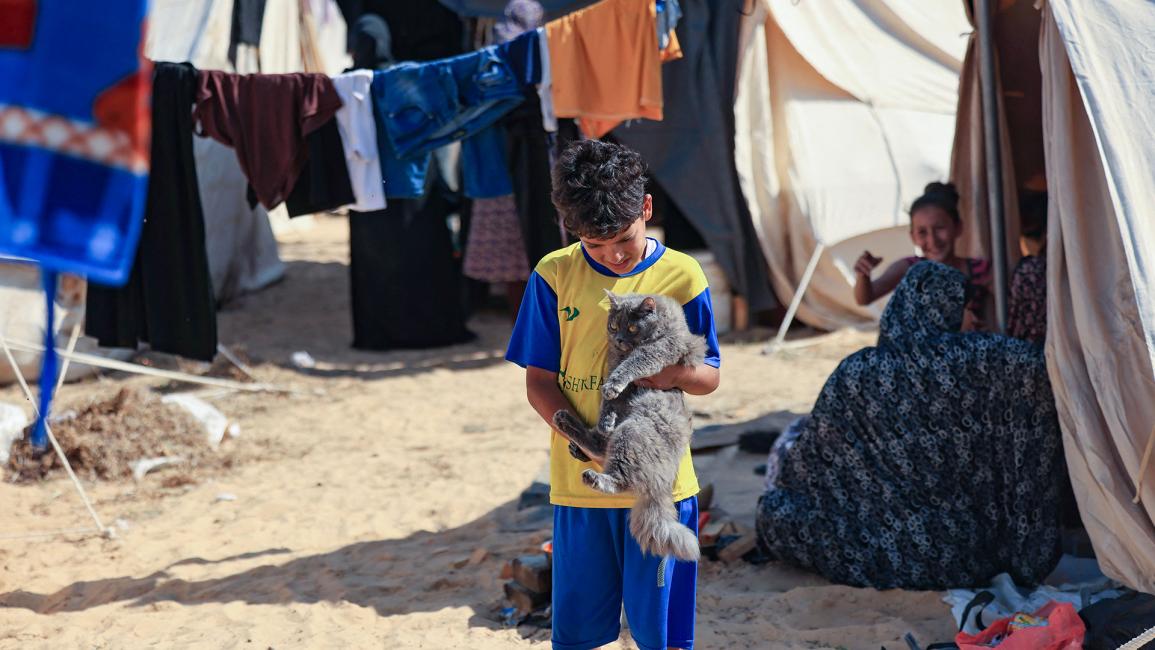 صبي يحمل قطة بين الخيام التي أقيمت للفلسطينيين الباحثين عن ملجأ في خانيونس (محمود همس/ Getty)