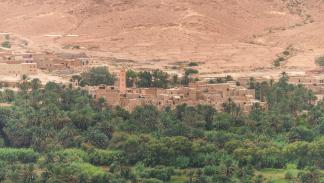 تنتشر واحات النخيل في المغرب على مساحات شاسعة، 21 أكتوبر 2019 (Getty)