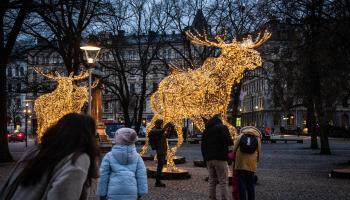 بعض من زينة الميلاد في السويد (هيلينا لاندستيدت/ فرانس برس)