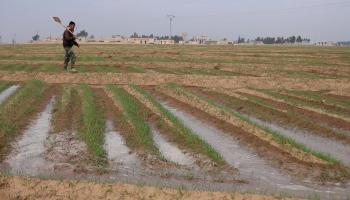 تأثير جفاف نهر الخابور على الزراعة (العربي الجديد)