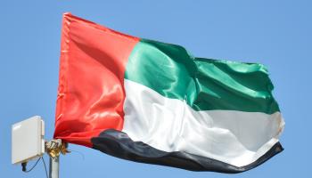 علم الإمارات مرفوعاً في مدينة حتا في إمارة دبي، 9 فبراير 2018 (Getty)