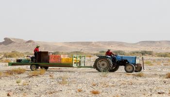 الحدود الأردنية الإسرائيلية فرانس برس)