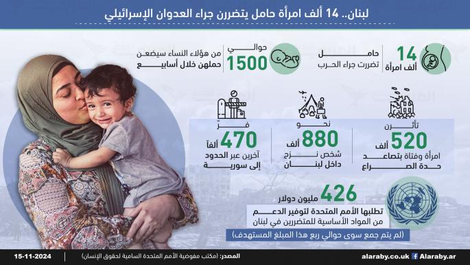 لبنان: 14 ألف حامل يتضررن جراء العدوان الإسرائيلي