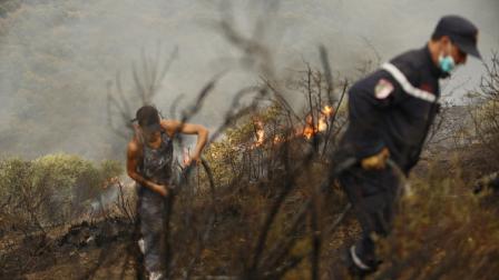 حرائق الغابات في البويرة، الجزائر، 24 يوليو 2023(فاضل عبد رحيم/الأناضول)