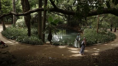 حديقة في الجزائر - 17 سبتمبر 2023 (فاضل عبد الرحيم/ الأناضول)