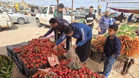 يشترون الطماطم في أحد أسواق طرابلس، 19 أبريل 2024 (محمود تركية/ فرانس برس)