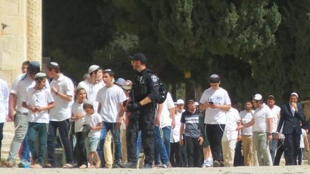 مستوطنون إسرائيليون يقتحمون المسجد الأقصى، 25 إبريل 2024 (Getty)