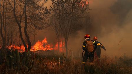 حرائق الغابات تتجدد في اليونان، 30 يونيو 2024 (الأناضول)
